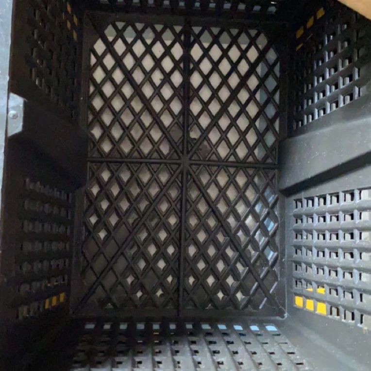 运输笼 小号 1只  1运输笼专用 送食