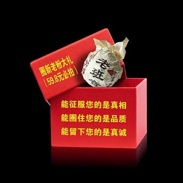【豪华大礼包】 2024年（8克一件）古树茶