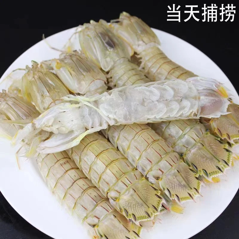 皮皮虾鲜活发货正在直播，渔船新鲜捕捞上岸,肉质蒸熟