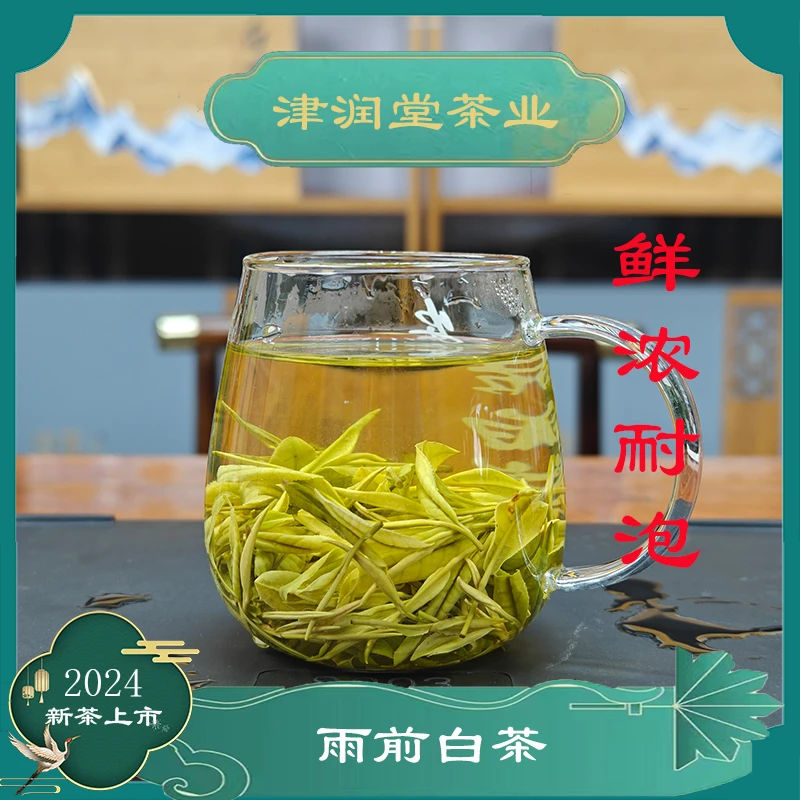正宗高山雨前白茶2024年新茶礼盒装绿茶兰花香