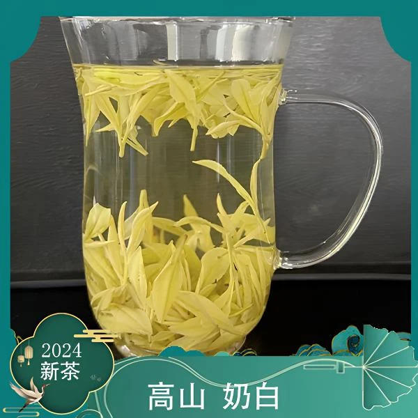 2024正宗新茶奶白茶一级小芽头高山采摘送人送礼奶白绿茶12