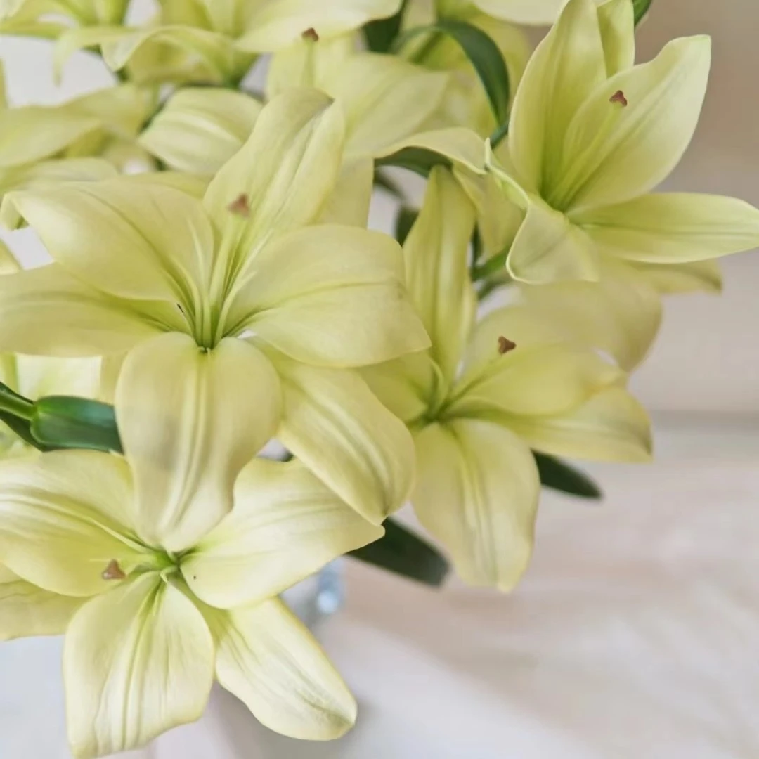 【童年】云南基地直发百合花鲜花插水养单瓣亚百合室内鲜切花
