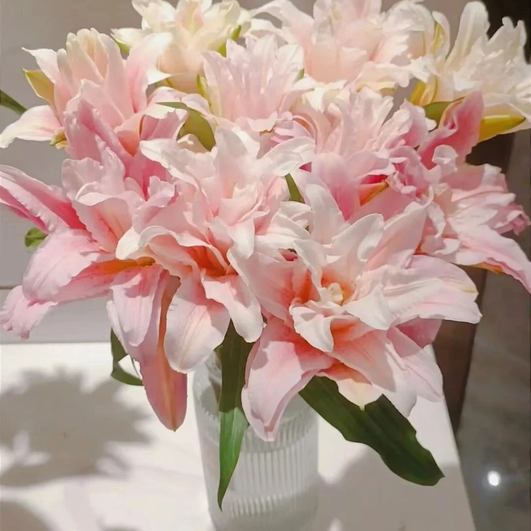 【富安娜】云南基地直发百合花鲜花瓶插水养香水重瓣百合鲜切花