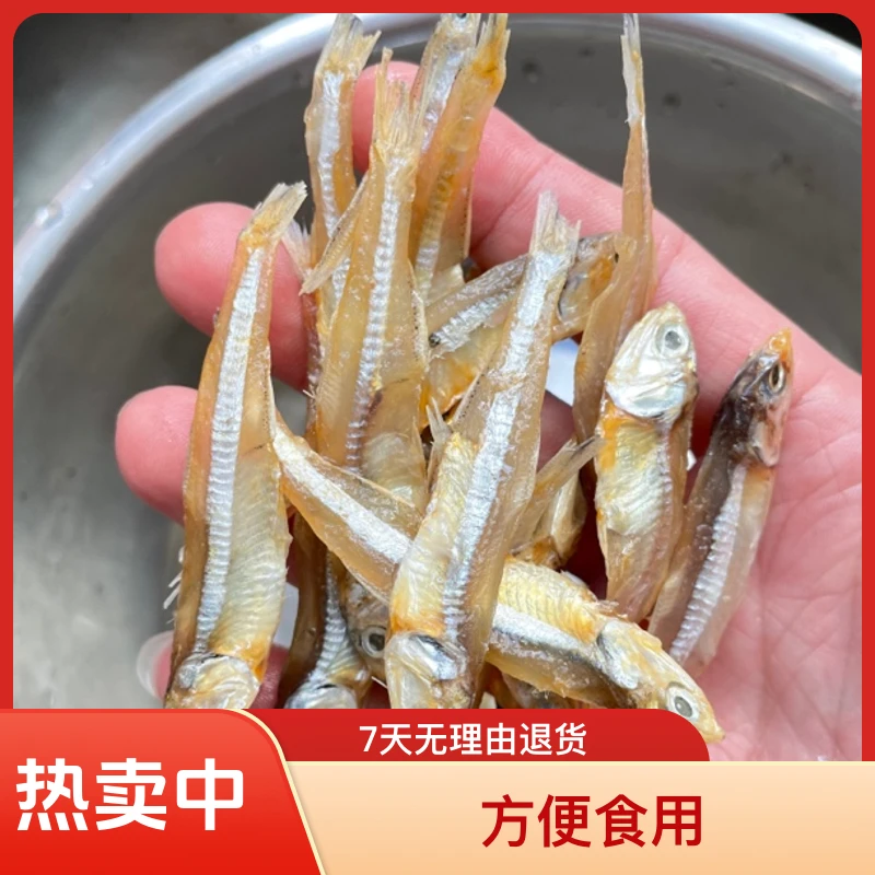 船晒海鲜干货公干鱼小鱼干海燕鱼白饭鱼白帆鱼银鱼丁香鱼咸鱼干