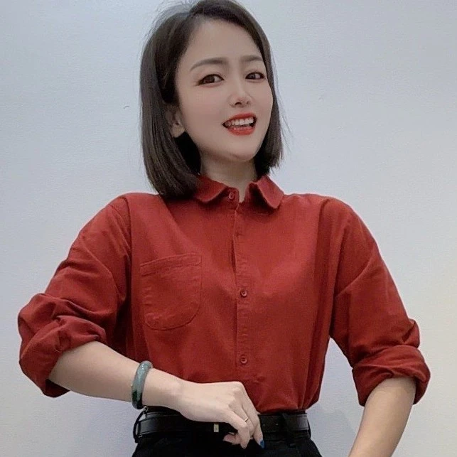 Y1076时尚高端磨毛气质女衬衫