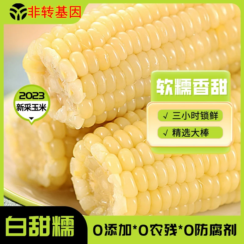 【试吃一根】东北白糯玉米软糯香甜8棒+2棒！非转基因240克-300克