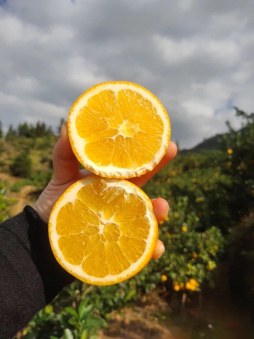 正宗赣南脐橙含箱5斤 孕妇当季水果赣南安远脐橙