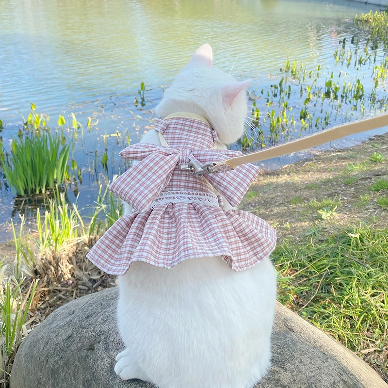 JK裙猫咪牵引绳加衣服猫猫外出专用背心式防挣脱猫绳子网红遛猫绳