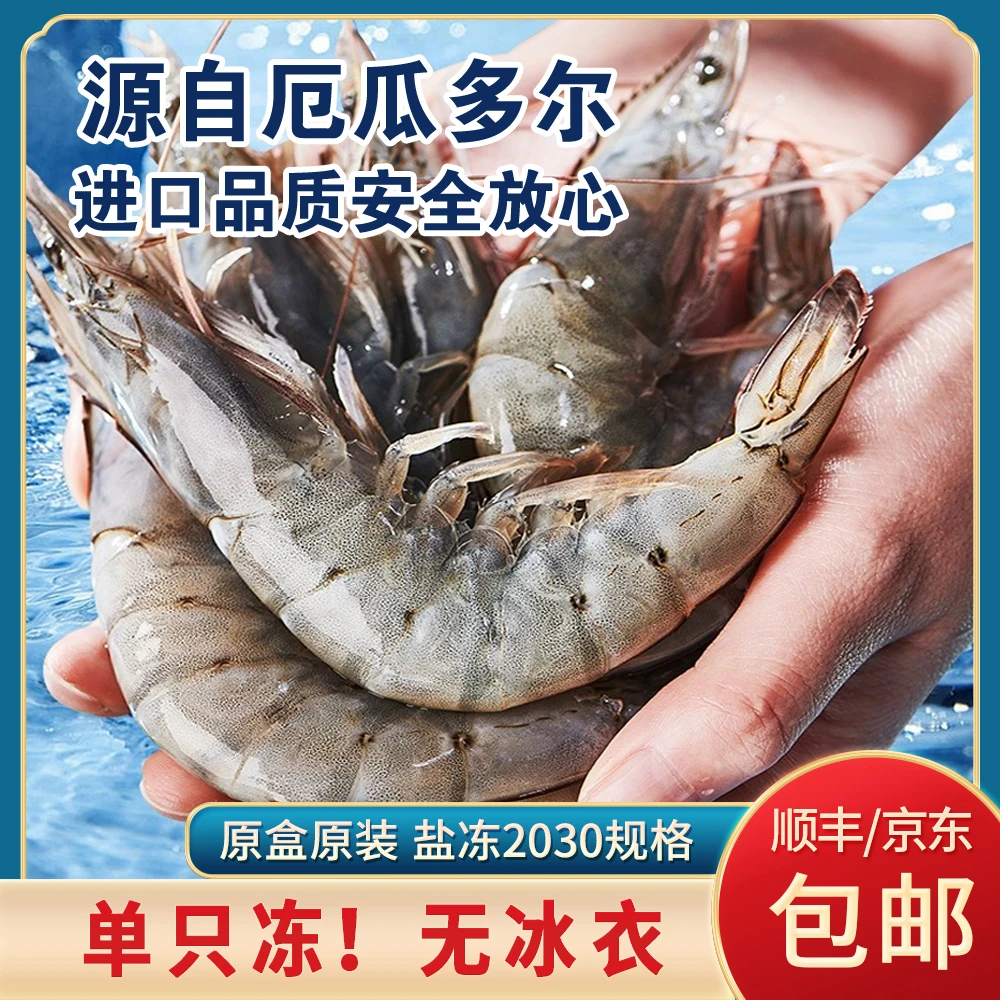 渔小鸣【大智新人】超大号2030厄瓜多尔南美白对虾3斤