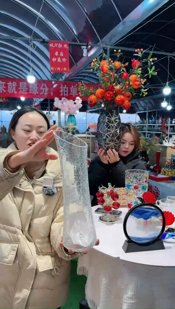 【闪购商品】迪乔J-12