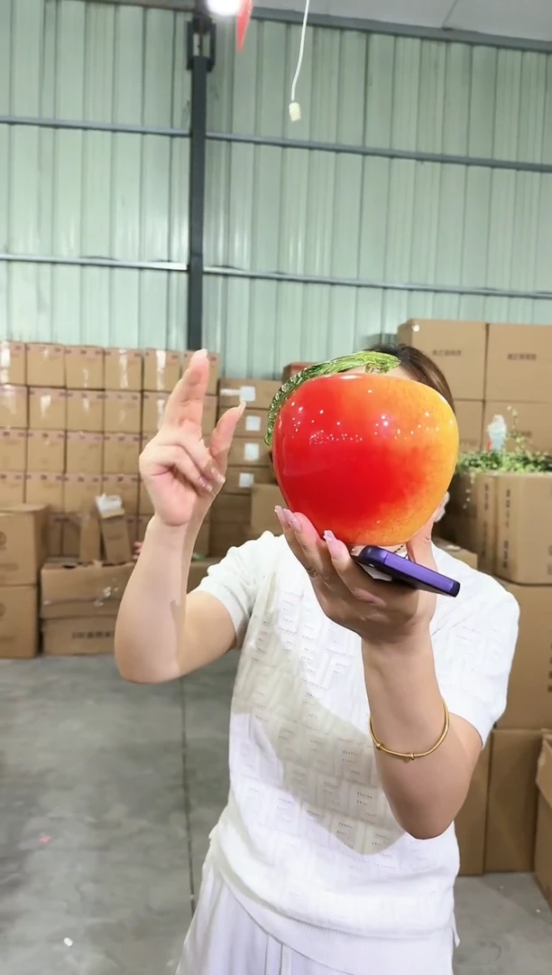 【闪购商品】迪喜T-尾货-57早花器