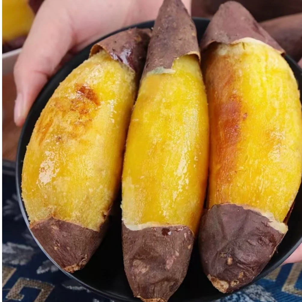 玛莎莉红薯新鲜蜜薯现挖黄心板栗番薯软糯甜板栗地瓜