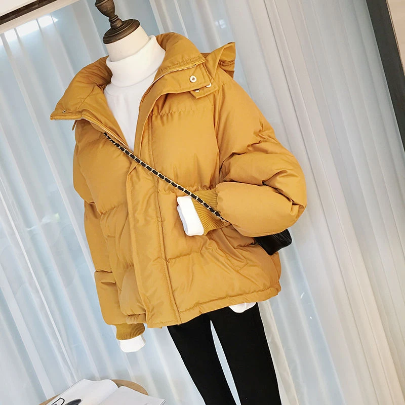 艾莱依平湖羽绒服冬季女装韩版小可爱连帽羽绒衣女短款纯色女款羽