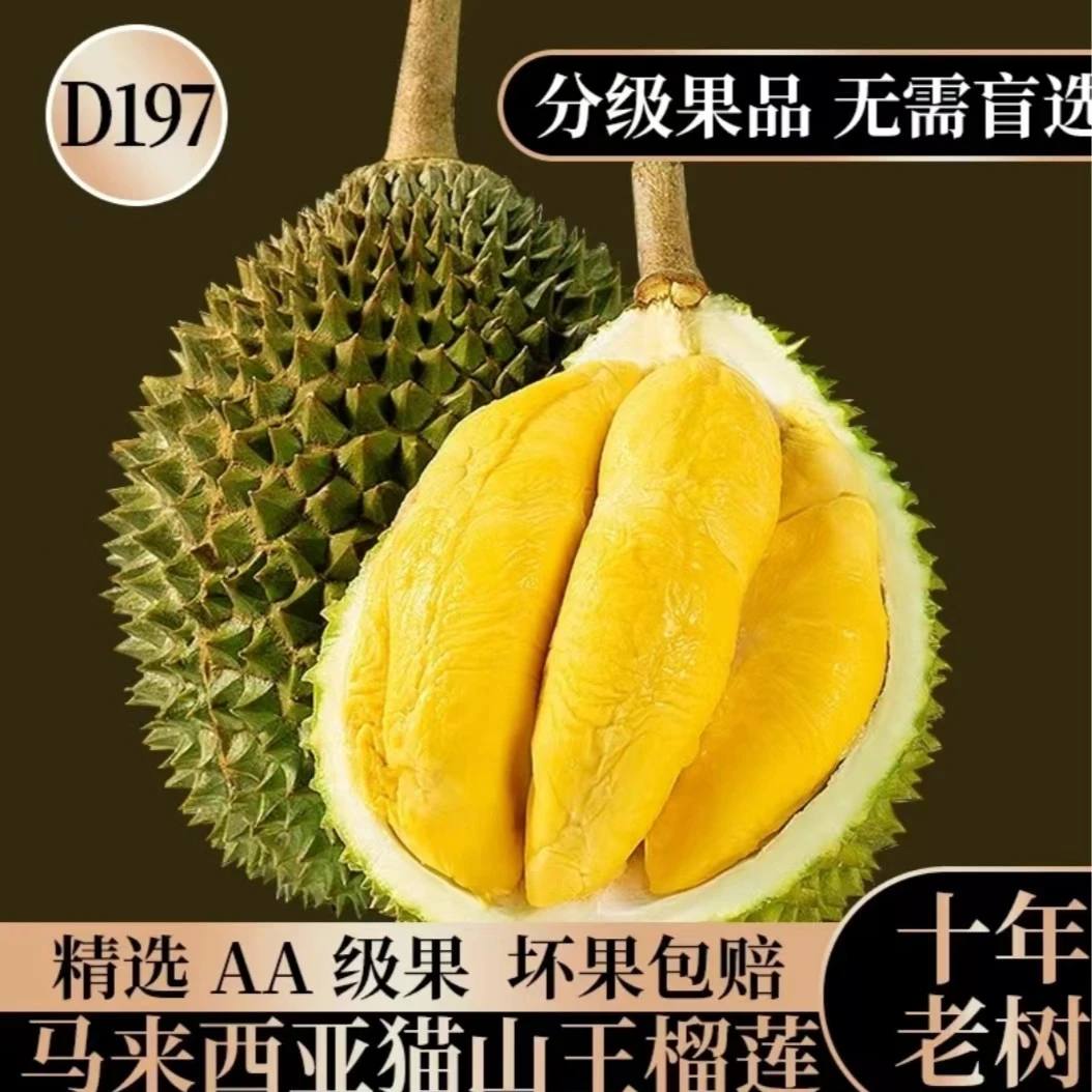 【整果一果一拍】猫山王榴莲马来西亚D197（液氮冷冻）