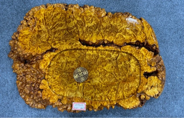 缅甸黄金樟茶盘  百年树瘤老根料  经典造型 工厂直销
