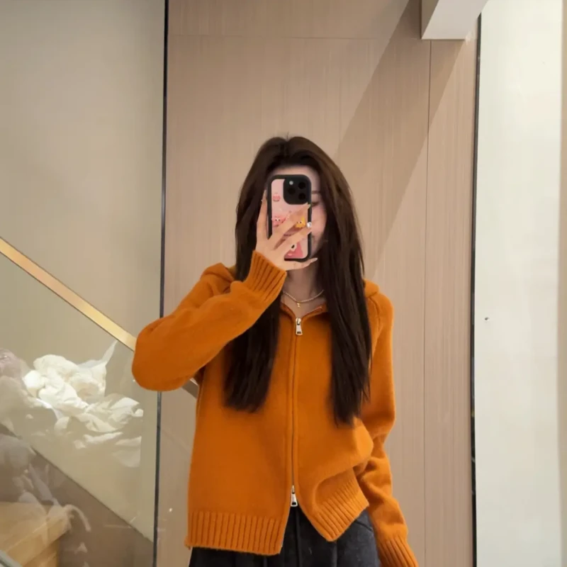 慵懒风连帽针织开衫女2024秋冬韩版双拉链小众设计感短款毛衣外套