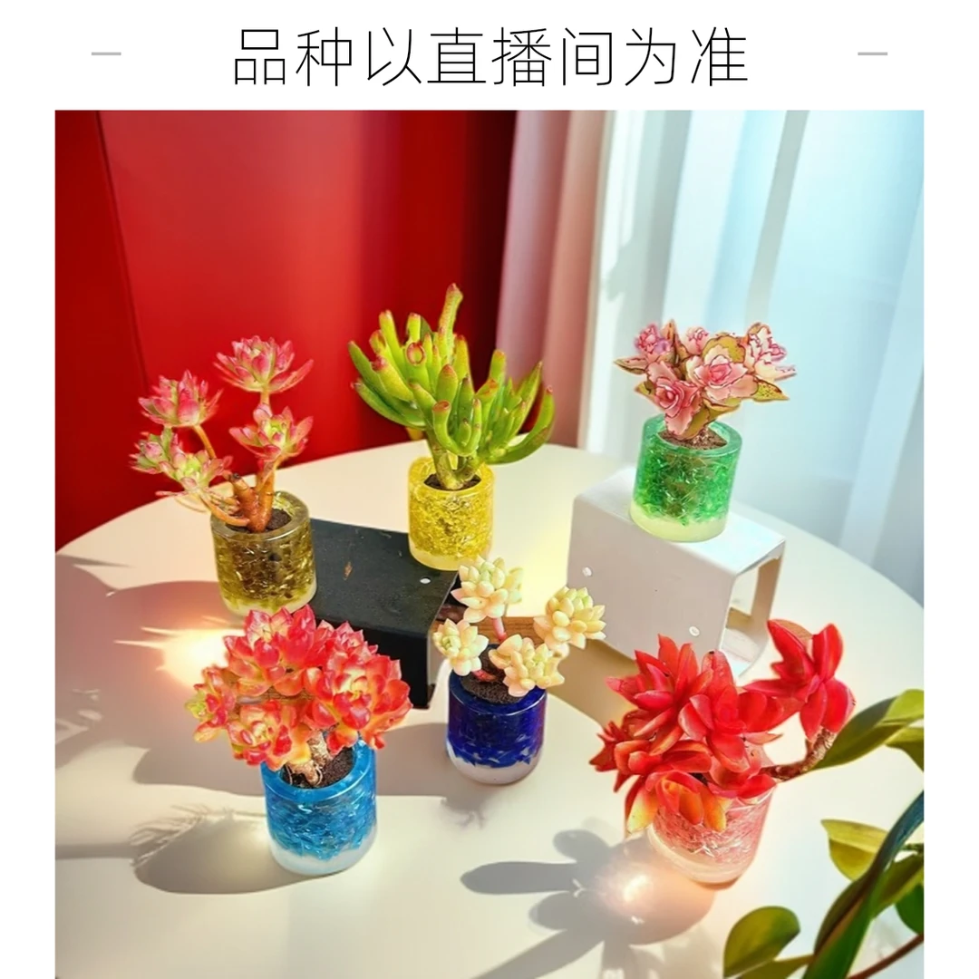 W9无土老桩组合(含圆型水晶花器