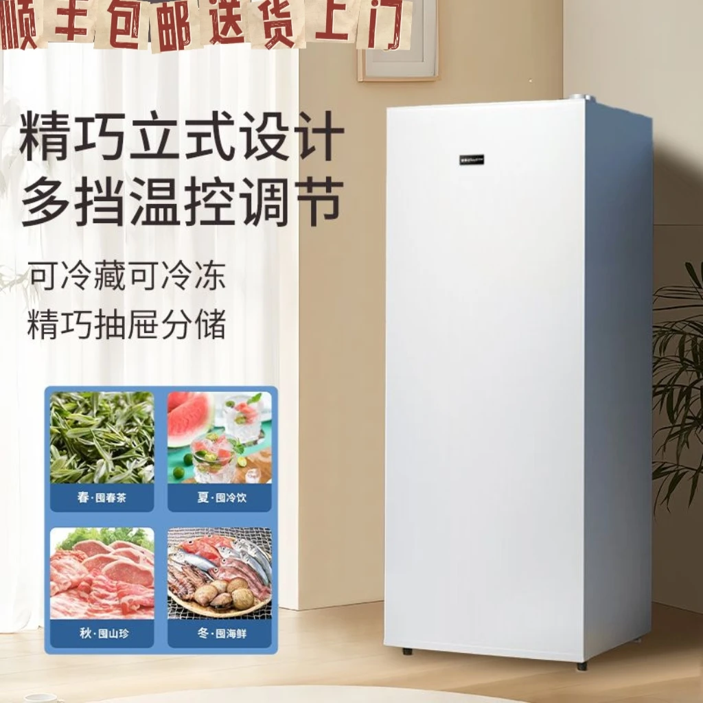 全新立式冰柜保鲜抽屉分储全冷冻冰箱小型一级能效母乳储奶冷柜