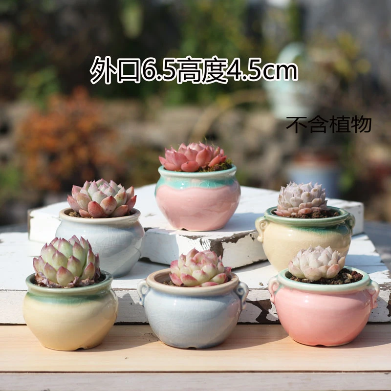 包邮窑变多肉麦饭石花盆复古大口陶瓷套餐紫砂吸水拇指印章老桩盆