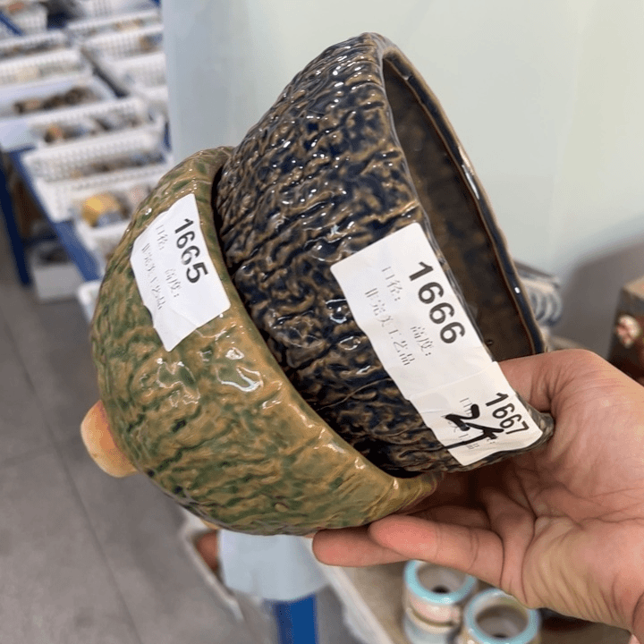【闪购商品】陶瓷20CM以下@@1667