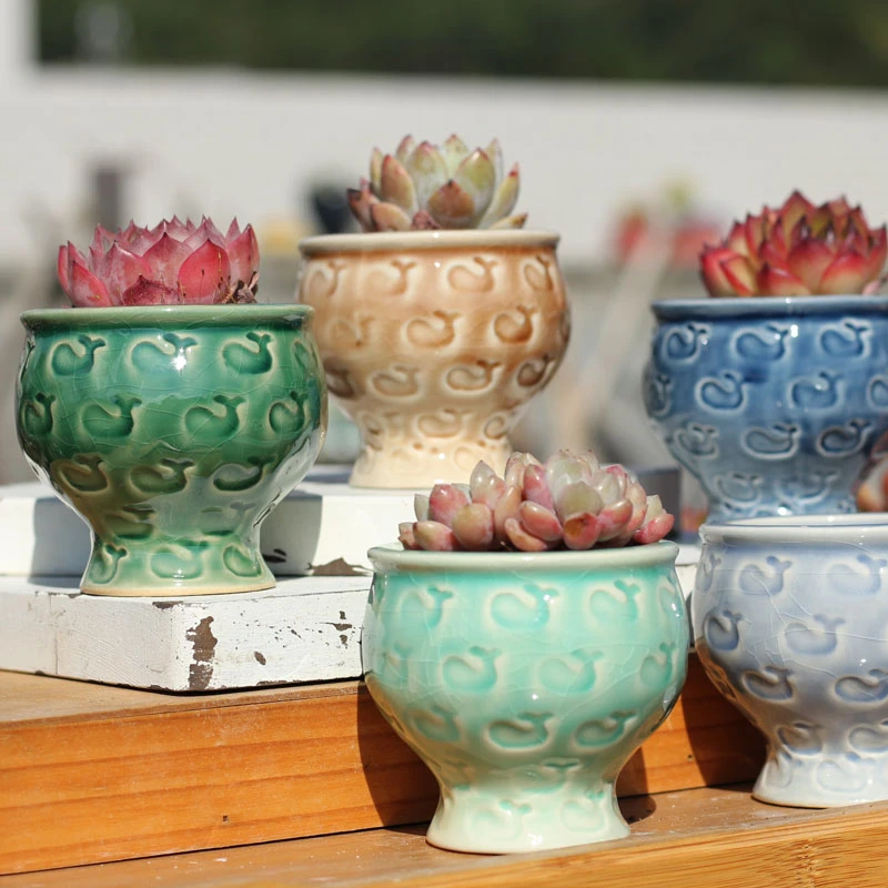 印章火锅盆多肉植物花盆冰裂小老桩喜光群生花盆简约白瓷桌面花卉