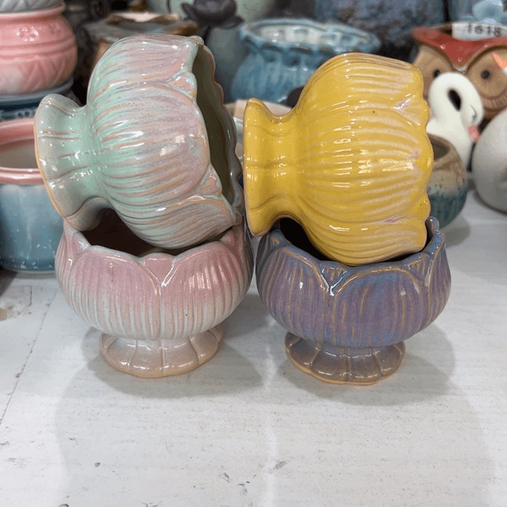 【闪购商品】陶瓷20CM以下@@1622
