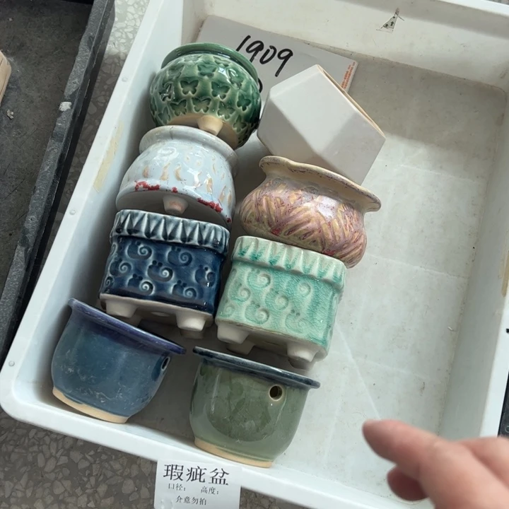 【闪购商品】陶瓷20CM以下@@1909