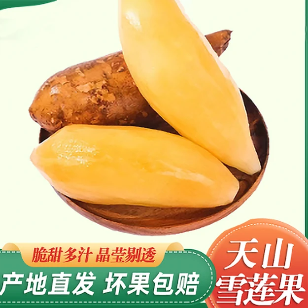 云南雪莲果清甜多汁脆嫩可口新鲜水果现挖水果5斤5-10个