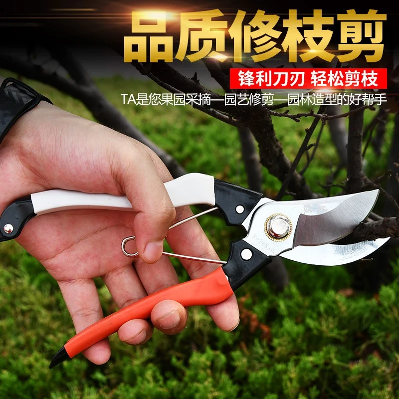 兰枝168修枝剪果树粗树剪园艺剪刀园林工具修剪树枝