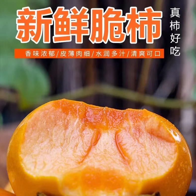 【助农】陕西高原旱地阳丰巧克力脆柿4.5斤18-22个脆甜肉厚不涩即食