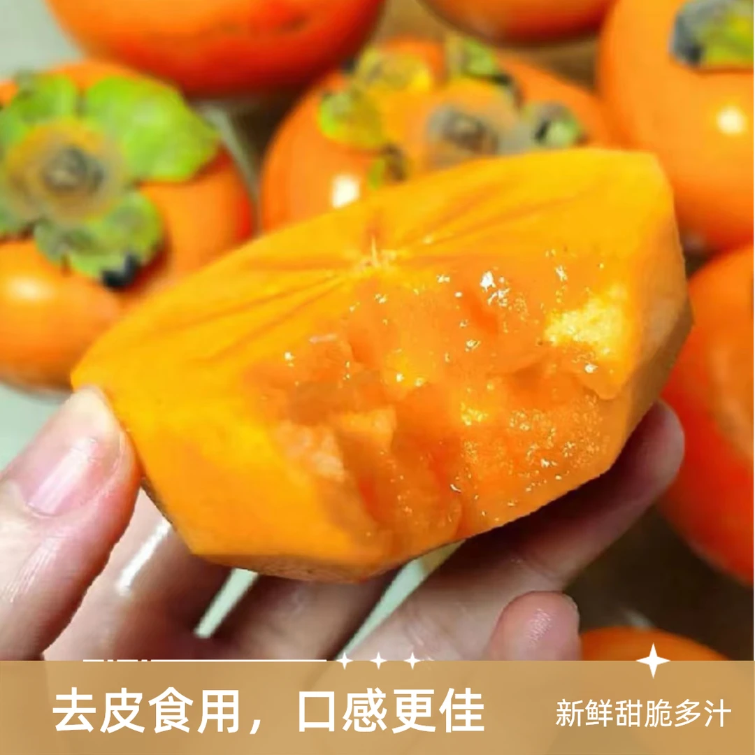 【嘉德甄选】陕西阳丰巧克力脆柿甜脆多汁皮薄肉厚不涩产地直发即食