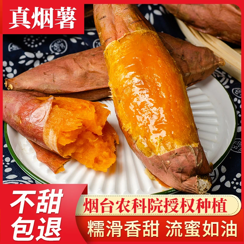 山东烟台农科院授权正宗烟薯25号蜜薯10红薯沙地烤地瓜精品5斤装