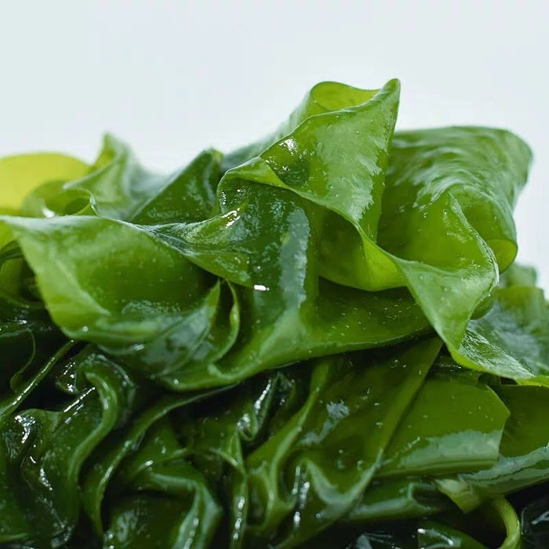 【太便宜了】5斤盐渍裙带菜麻辣烫海藻海带鲜嫩凉拌火锅食材批发