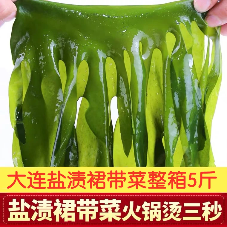 大连盐渍裙带菜(凉拌煲汤包子馅饺子馅)5斤/箱