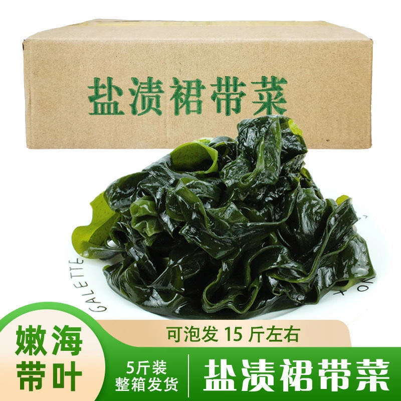大连新鲜高泡盐渍裙带菜非干货整箱火锅食材海菜精品少盐裙带菜