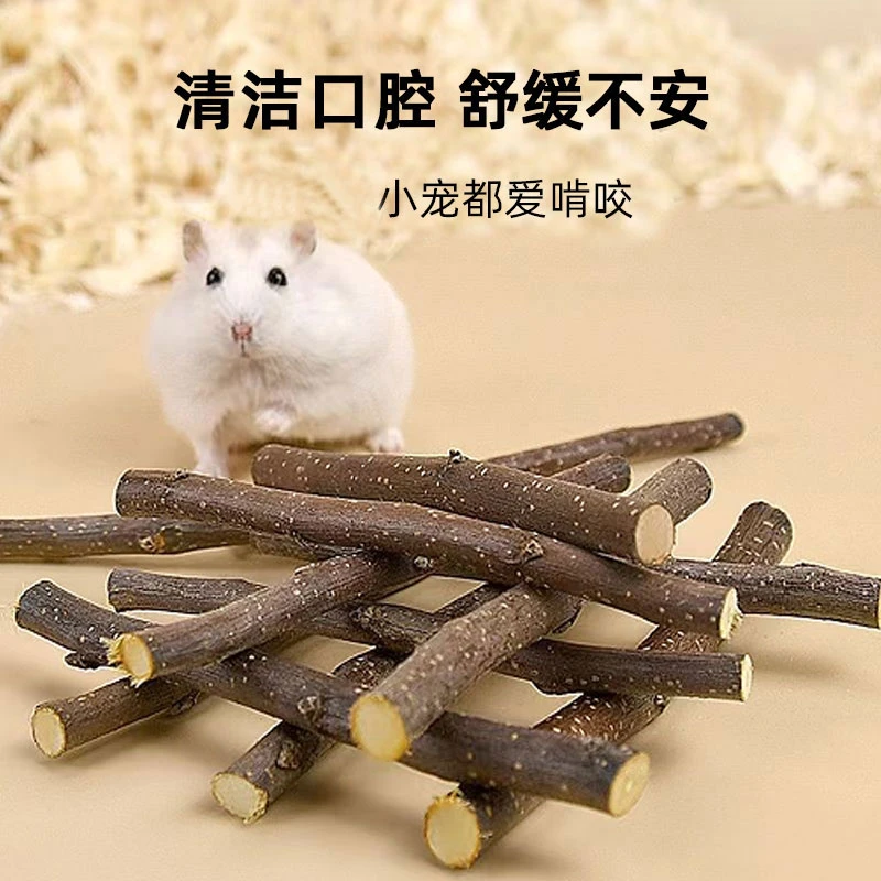 仓鼠龙猫磨牙棒苹果枝磨牙枝小宠仓鼠豚鼠荷兰猪兔子用品