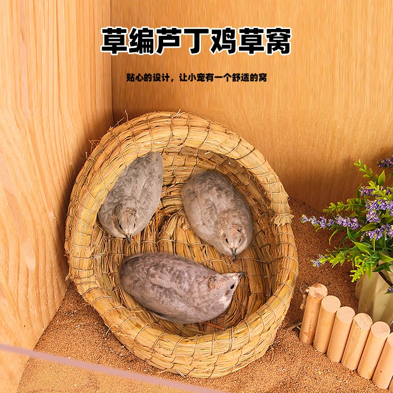芦丁鸡鹌鹑鹦鹉玄风八哥草窝草编饲养专用鸡窝过冬神器保暖下蛋窝