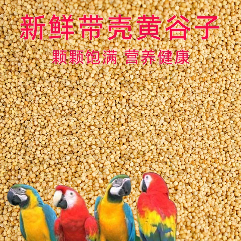 新黄谷子虎皮玄凤牡丹食物粮食中小型宠物鹦鹉饲料鸟粮食带壳小米