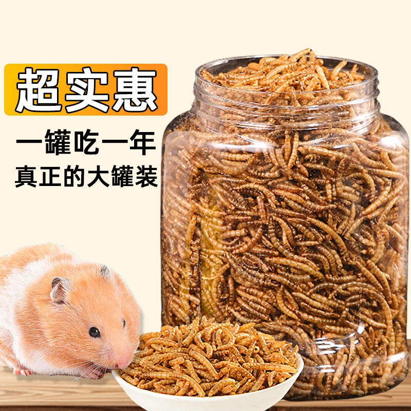 高蛋白面包虫仓鼠金丝熊花枝通心粉蜜袋鼯宠物零食