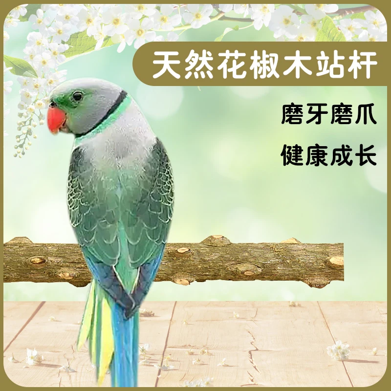 冠之亚天然花椒木站杆鹩哥八哥画眉鹦鹉虎皮磨爪棒小鸟磨嘴站杆