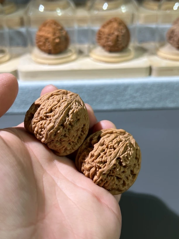 66文玩核桃直播链接