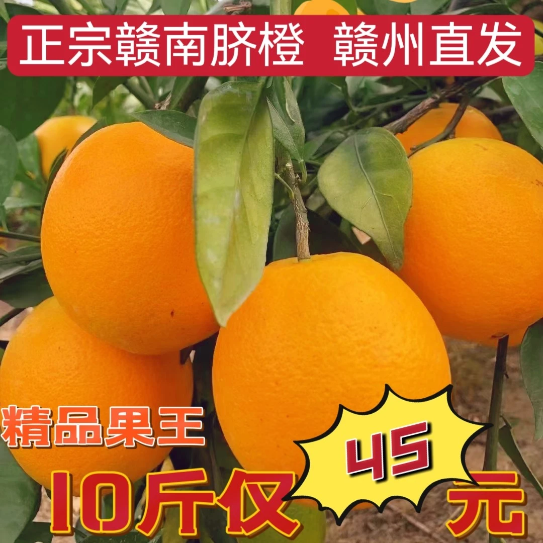 坏果包赔江西赣州源头场地直发赣南脐橙水果橙子