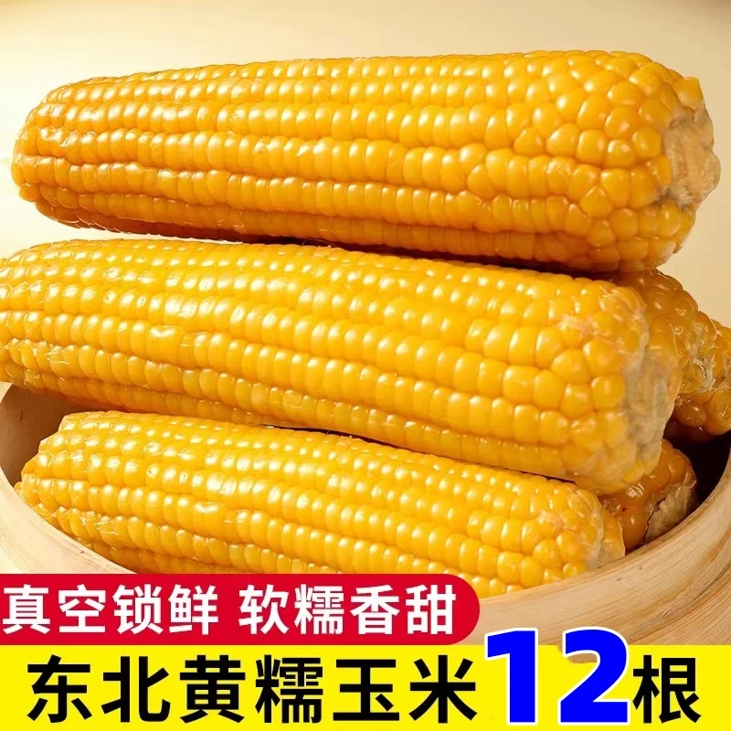 12棒6斤东北黄粘糯玉米软糯微甜 整箱促销10+2棒 新粉福利品