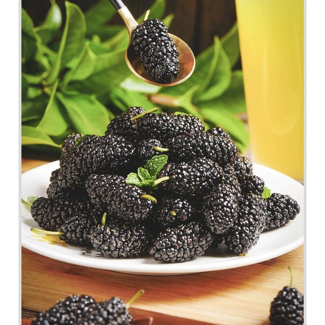 【桑椹】黑桑椹干 大果粒 无硫五熏染 桑葚干 免洗泡水