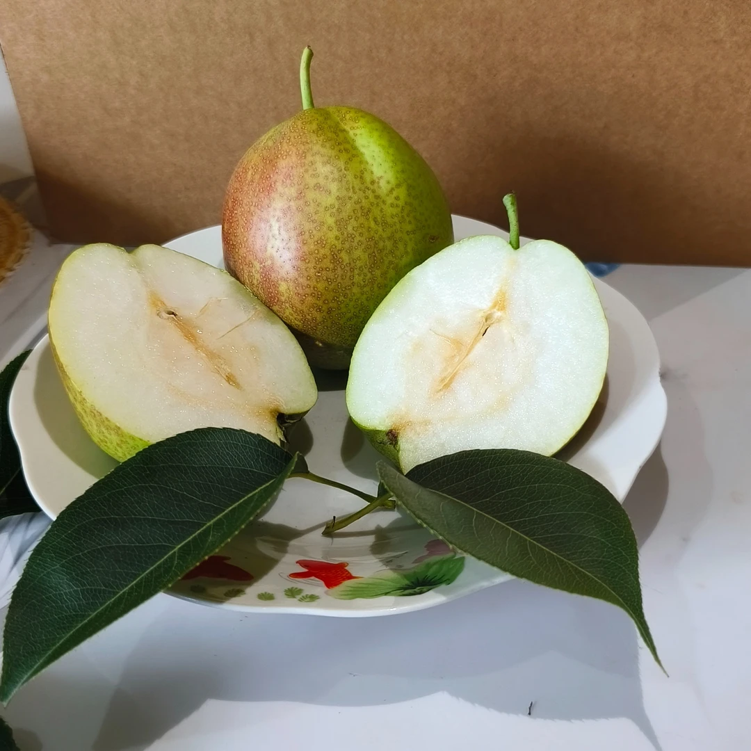 正宗阳信媚梨七号梨梨子皮薄汁多香甜可口产地直发整箱精品梨香梨