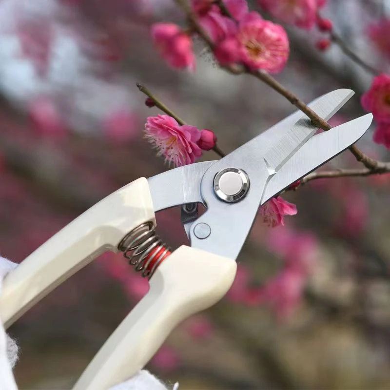 剪枝果树修枝剪刀园艺园林修花枝剪家用强园艺剪树枝花卉树枝果树