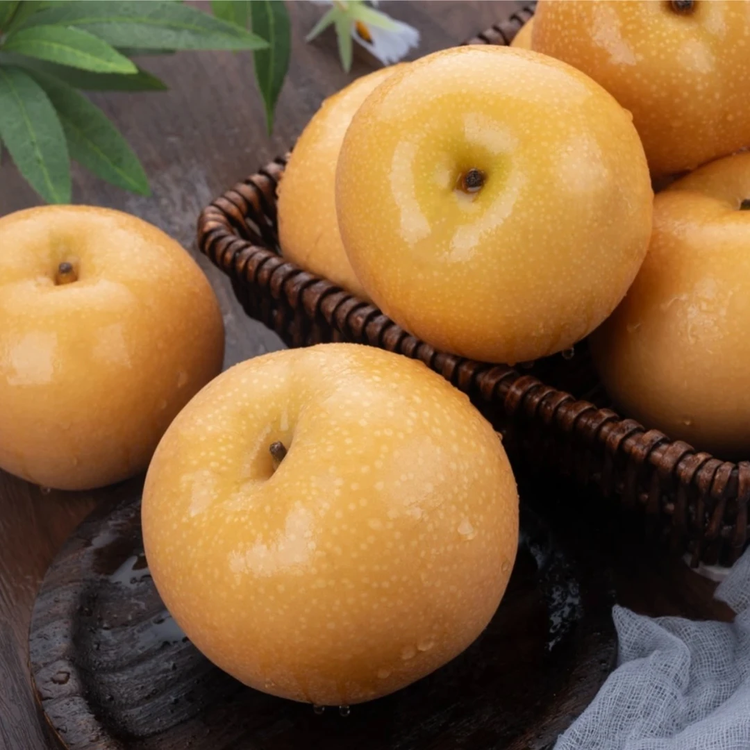 秋月梨（礼盒装8个大果）
