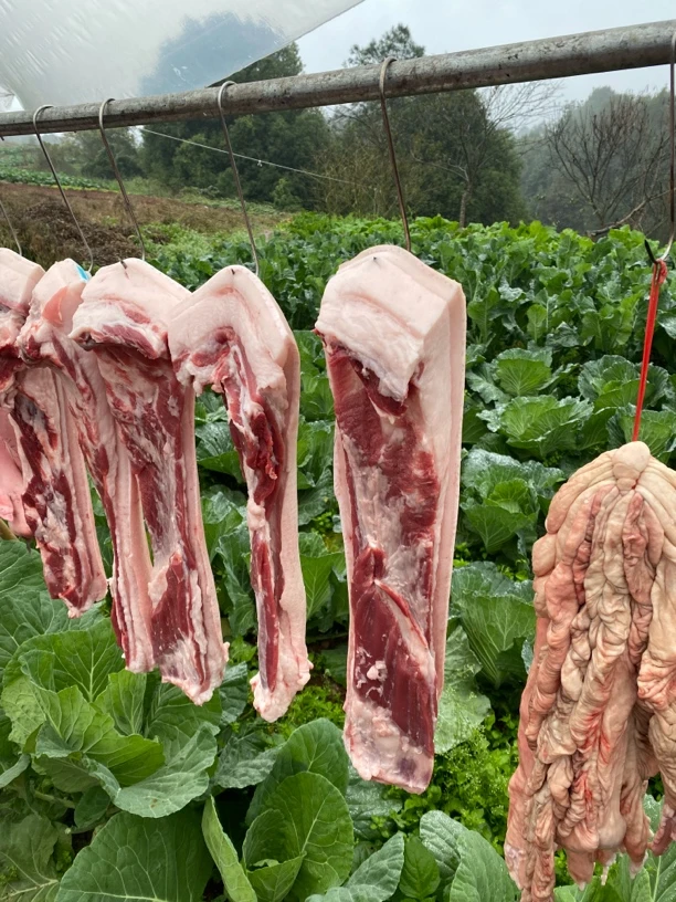 ①号 现称改价 正宗土黑猪肉 粮食喂养