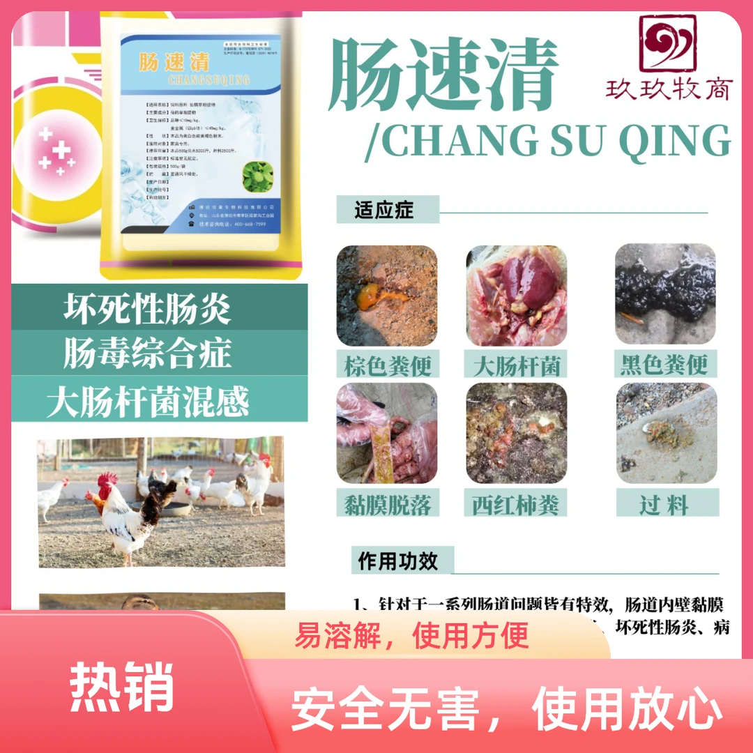 【肠速清】针对坏死性肠炎 黑色粪便 水便 病毒性肠炎 禽饲料添加剂