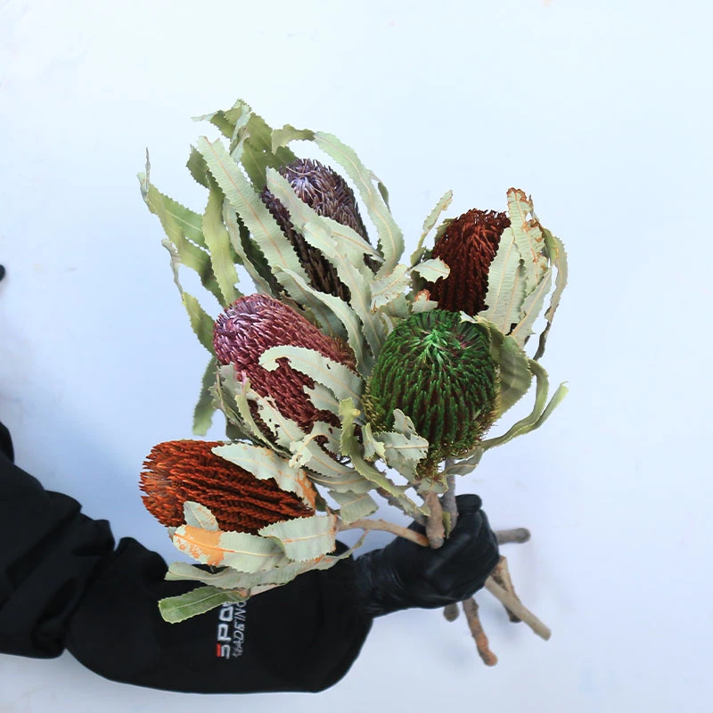 【彩虹斑克木佛塔】花一森林进口南非产品佛塔高端花材